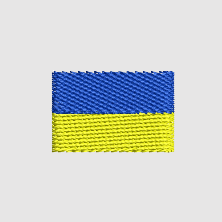 Flag of Ukraine  | Embroidered Hoodie | Regular Fit