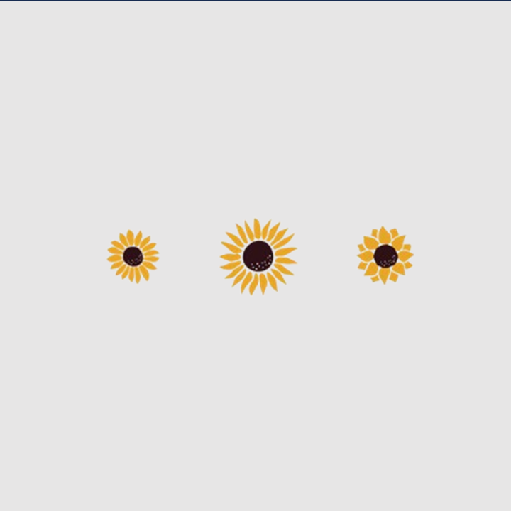 Sunflowers | Embroidered Hoodie | Regular Fit