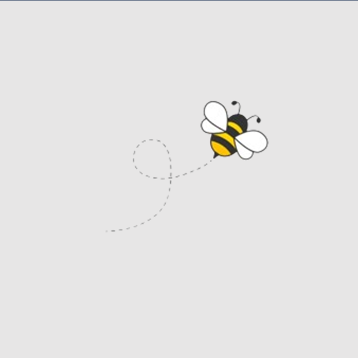 The Bee | Embroidered T-Shirt | Oversized Fit