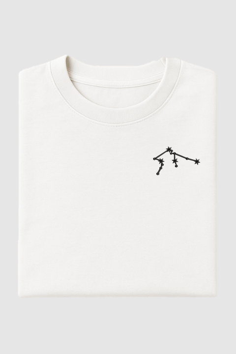 Aquarius Constellation | Embroidered T-Shirt | Oversized Fit